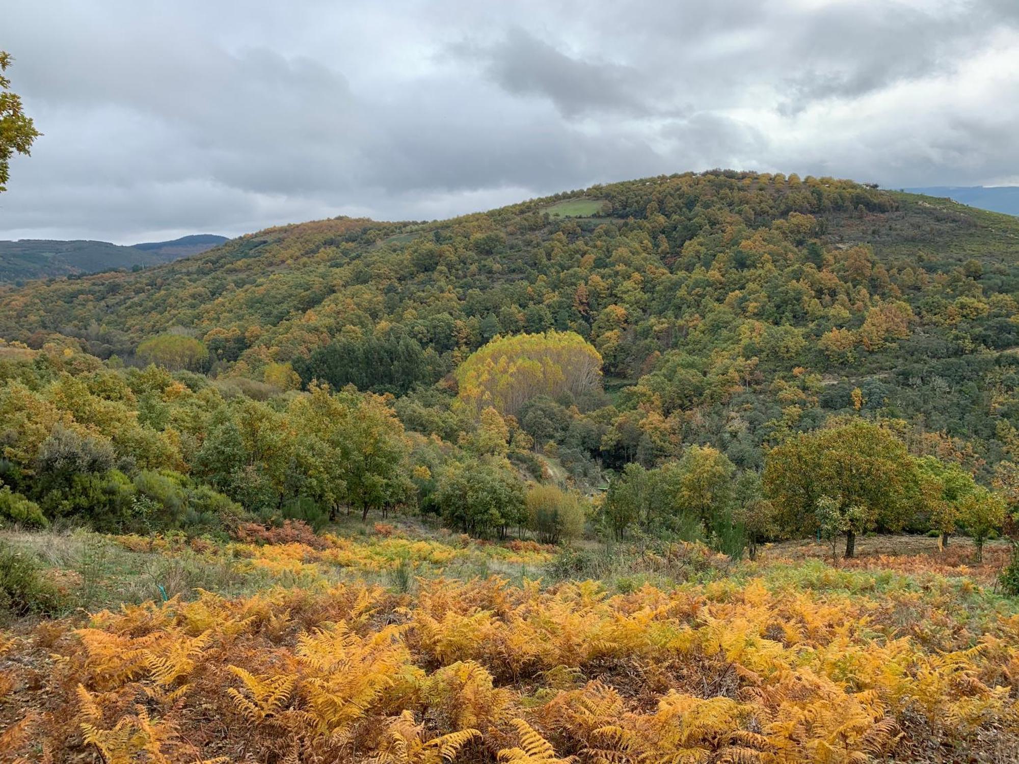 Casa Do Souto - Nature & Experiences -