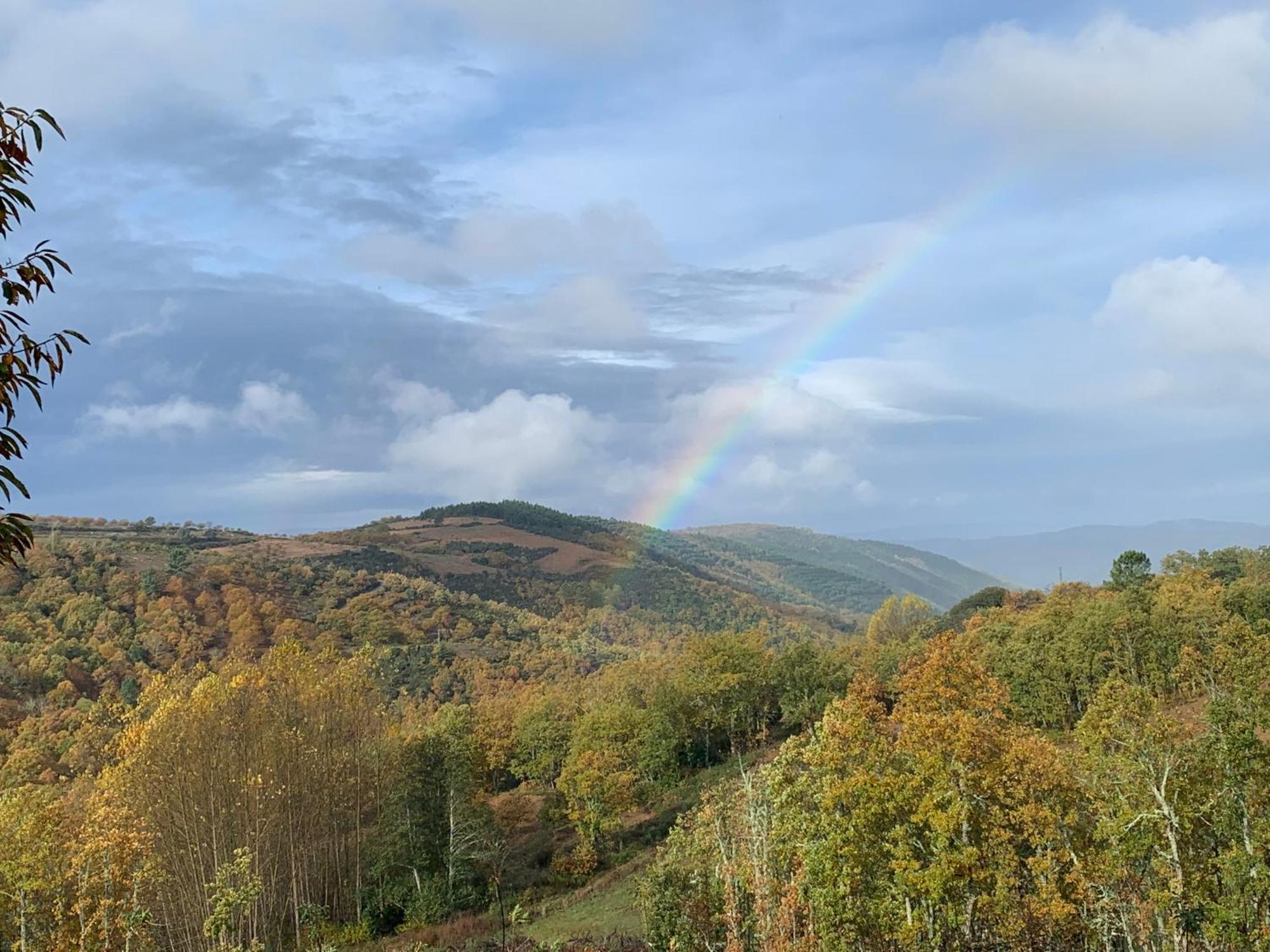Casa Do Souto - Nature & Experiences - * Bragance