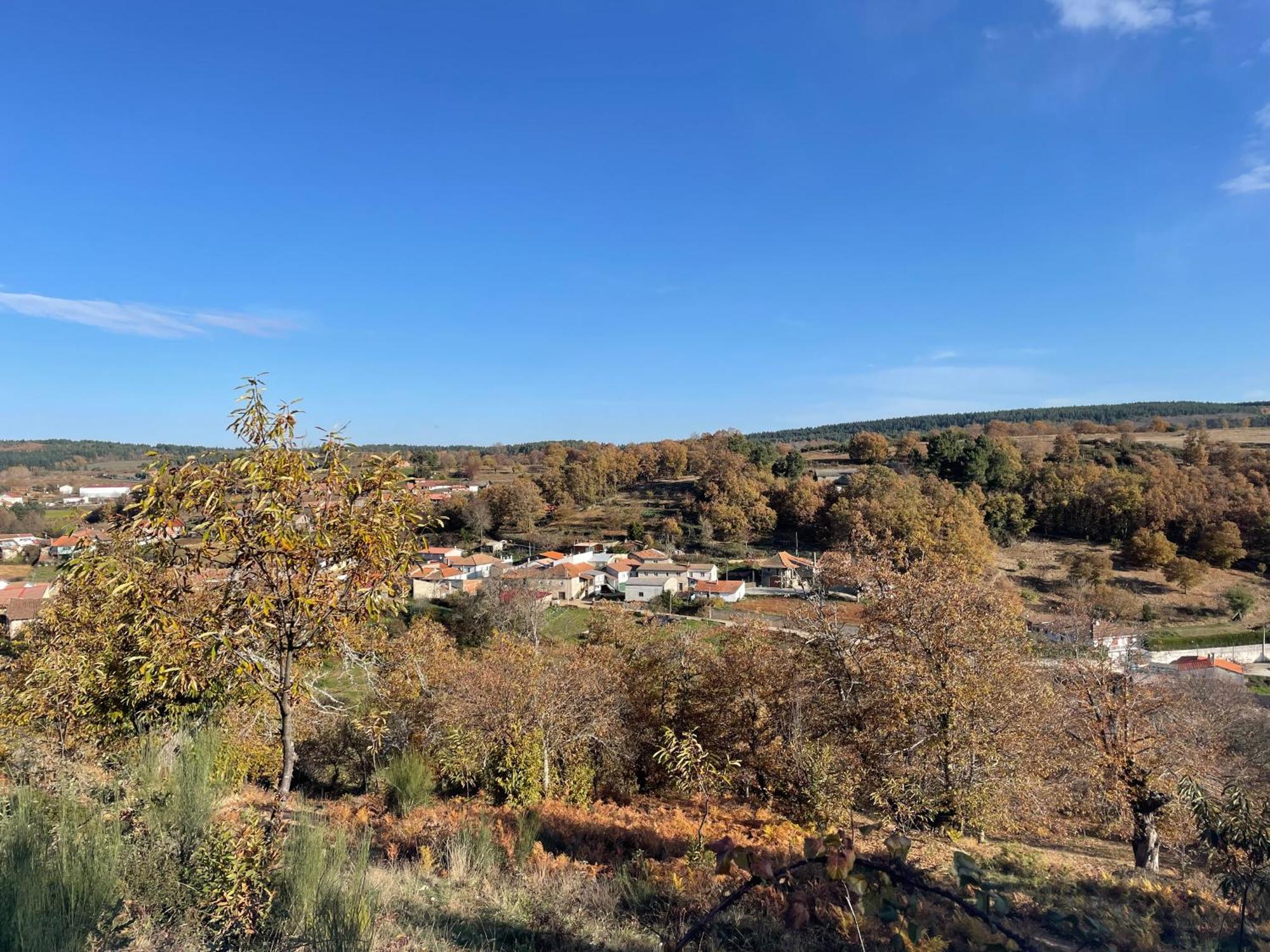 Casa Do Souto - Nature & Experiences -