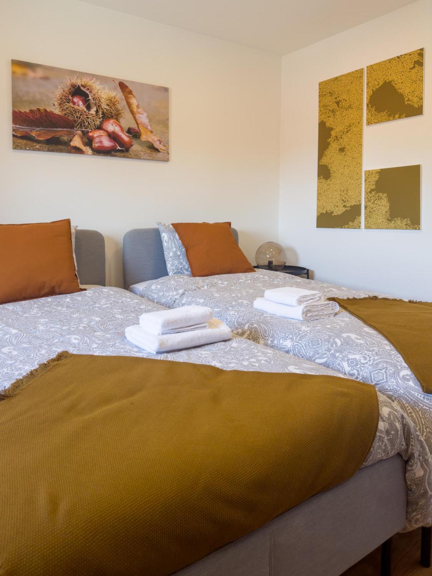 Casa Do Souto - Nature & Experiences - *